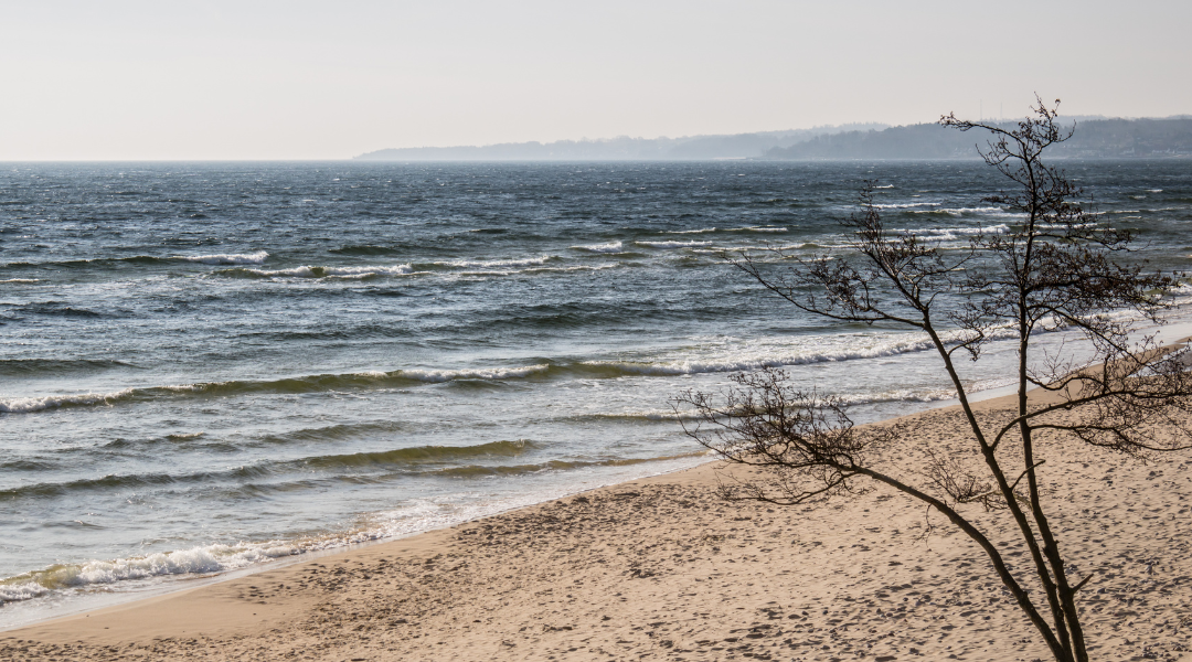 Ron DeSantis was stunned by this scary reality about a trip to the beach